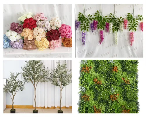Vítejte v Ouli Flowers - váš důvěryhodný velkoobchodní dodavatel květin