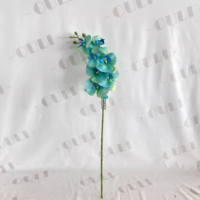 7 hlav Falešné květiny orchideje