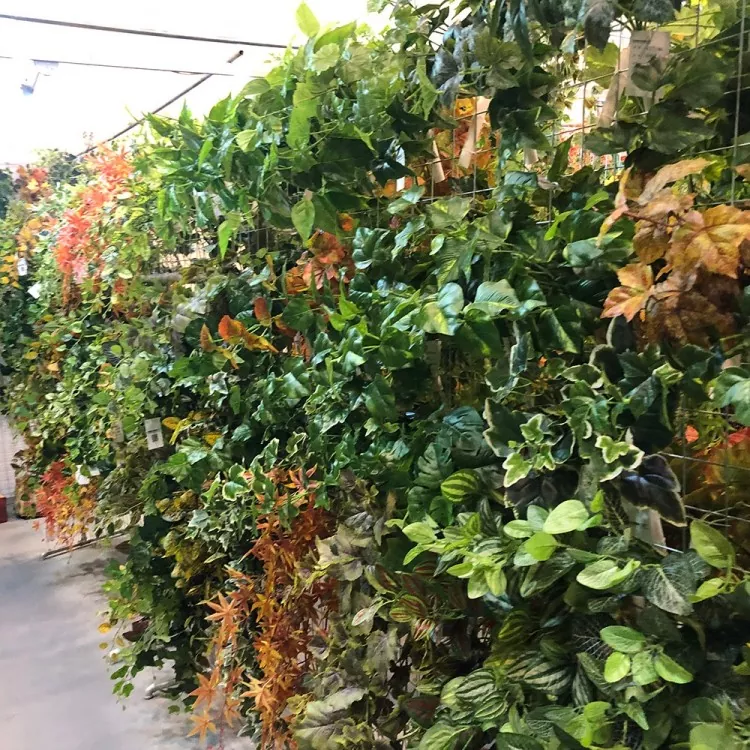 Umělá rostlina Ivy