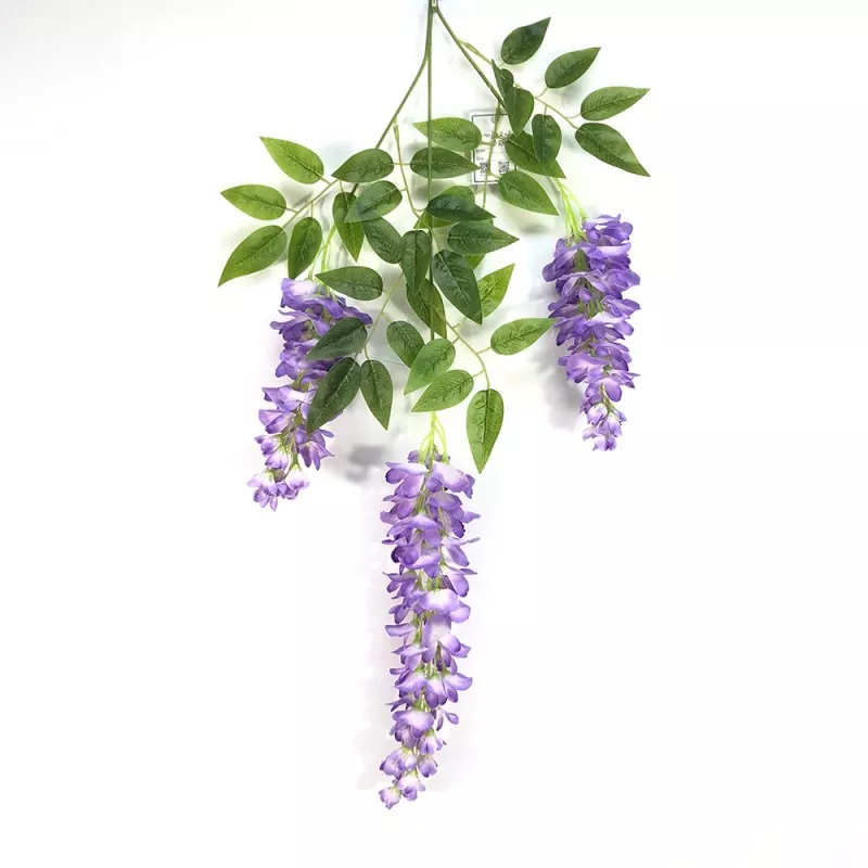 Falešné větve Wisteria