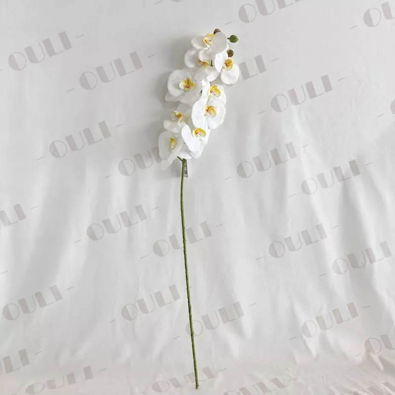 Skutečný dotykový falešný orchidej
